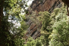 Katoomba